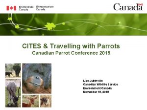 CITES Travelling with Parrots Canadian Parrot Conference 2015