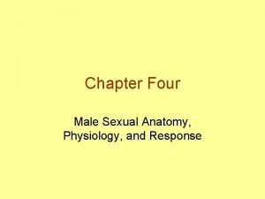 Chapter Four Male Sexual Anatomy Physiology and Response