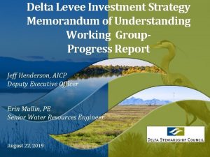 Delta Levee Investment Strategy Memorandum of Understanding Working