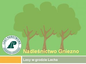 Nadlenictwo Gniezno Lasy w grodzie Lecha Pooenie i