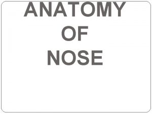 ANATOMY OF NOSE External Nose Pyramidal shaped osteocartilagenous