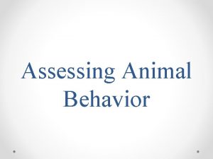 Assessing Animal Behavior Introduction Types of Animal Behavior