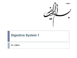 Digestive System 1 Dr Zahiri Pharynx q Pharynx