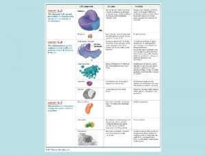 Membrane Structure and Function Ch 7 Membrane Protein