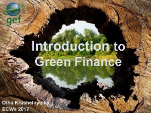 Introduction to Green Finance Olha Krushelnytska ECWs 2017