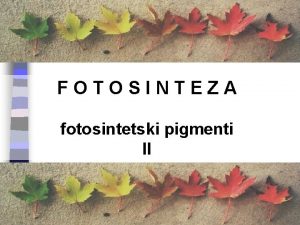 FOTOSINTEZA fotosintetski pigmenti II 6 CO 2 6