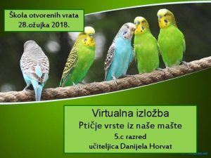 kola otvorenih vrata 28 oujka 2018 Virtualna izloba