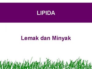 LIPIDA Lemak dan Minyak Apa itu lipida Sekelompok