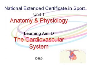 National Extended Certificate in Sport Unit 1 Anatomy