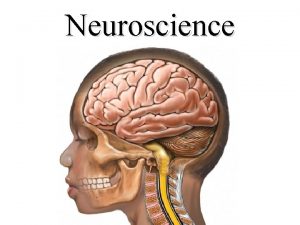 Neuroscience Phineas Gage 1823 1860 Blood Cells Fat