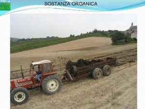 SOSTANZA ORGANICA SOSTANZA ORGANICA Residui di vegetazione deiezioni