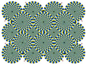 Motion illusion rotating snakes Image Filtering Computer Vision