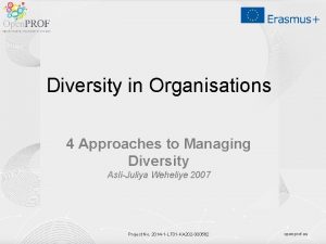 Diversity in Organisations 4 Approaches to Managing Diversity
