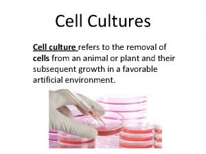 Cell Cultures Cell culture refers to the removal