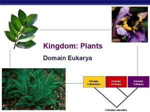 Kingdom Plants Domain Eukarya Domain Eubacteria AP Biology