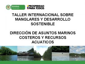 TALLER INTERNACIONAL SOBRE MANGLARES Y DESARROLLO SOSTENIBLE DIRECCIN