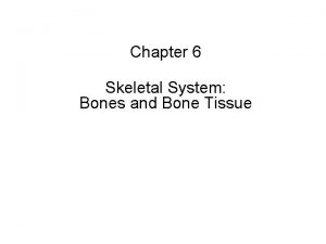 Chapter 6 Skeletal System Bones and Bone Tissue