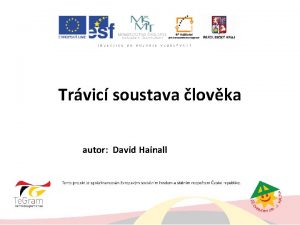 Trvic soustava lovka autor David Hainall Popis trvic