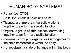 HUMAN BODY SYSTEMS Remember CTOS Cells the smallest