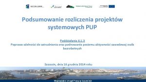 Podsumowanie rozliczenia projektw systemowych PUP Poddziaanie 6 1