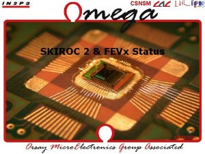 CSNSM SKIROC 2 FEVx Status 23102021 ASIC design