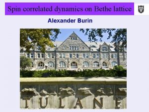 Spin correlated dynamics on Bethe lattice Alexander Burin