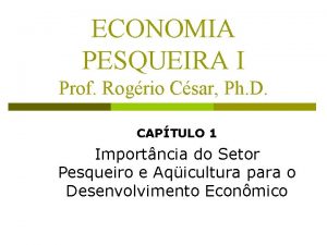 ECONOMIA PESQUEIRA I Prof Rogrio Csar Ph D
