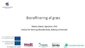 Bioraffinering af grs Mette Lbeck Agronom Ph D