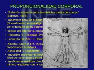 PROPORCIONALIDAD CORPORAL Relacin existente entre las distintas partes