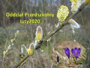 Oddzia Przedszkolny luty 2020 W krainie bani Czy