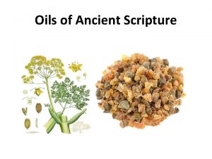 Oils of Ancient Scripture Oils of Ancient Scripture