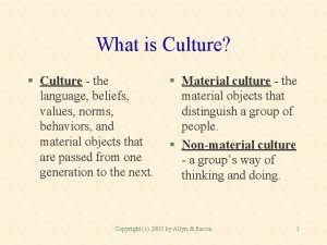 What is Culture Culture the language beliefs values