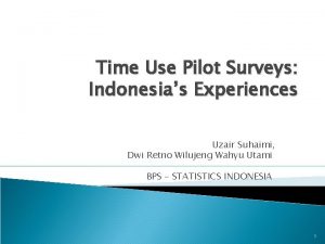 Time Use Pilot Surveys Indonesias Experiences Uzair Suhaimi