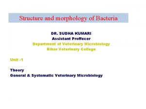 Structure and morphology of Bacteria DR SUDHA KUMARI