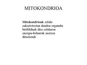 MITOKONDRIOA Mitokondrioak zelula eukariotoetan dauden organulu biribilduak dira