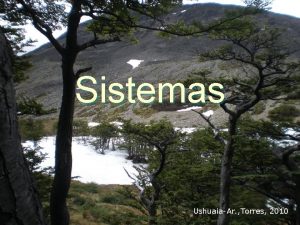 Sistemas UshuaiaAr Torres 2010 Conjunto de elementos e