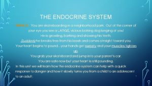 THE ENDOCRINE SYSTEM What ifYou are skateboarding in