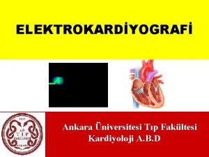 ELEKTROKARDYOGRAF Ankara niversitesi Tp Fakltesi Kardiyoloji A B