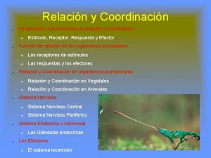 Relacin y Coordinacin Introduccin Las funciones de relacin