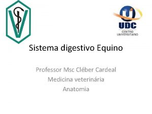 Sistema digestivo Equino Professor Msc Clber Cardeal Medicina