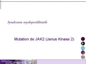 Syndromes myloprolifratifs Mutation de JAK 2 Janus Kinase