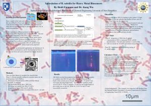 Sporulation of B subtilis for Heavy Metal Biosensors