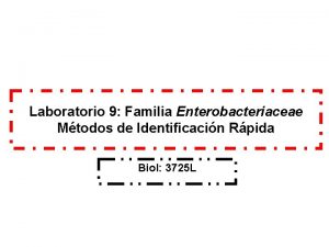 Laboratorio 9 Familia Enterobacteriaceae Mtodos de Identificacin Rpida