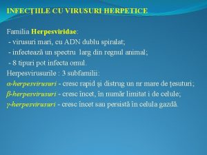 INFECIILE CU VIRUSURI HERPETICE Familia Herpesviridae virusuri mari