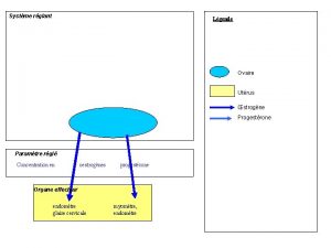 Systme rglant Lgende Ovaire Utrus strogne Progestrone Paramtre