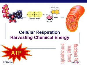 Cellular Respiration Harvesting Chemical Energy ATP AP Biology