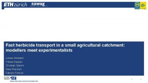 Fast herbicide transport in a small agricultural catchment