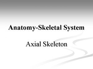 AnatomySkeletal System Axial Skeleton AnatomySkeletal System Bell Work