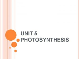 UNIT 5 PHOTOSYNTHESIS ENERGY MATTER Energy In Sunlight