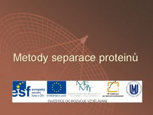 Metody separace protein Literatura u u Anzenbacher Kov